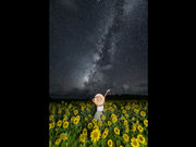 ブルーギャラリー石垣島の写真3