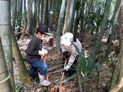 柏たなか農園の写真2