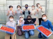 メークリヒカイトの写真4