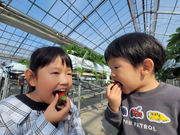 トライベリーファームの写真3