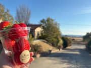 MARUHA RESORT いちごの丘の写真3