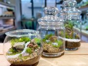 Terrariums メトロ・エム後楽園店の写真3