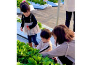 TACOJIMA FARMの写真4