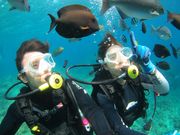 DIVE IN CHATANの写真4
