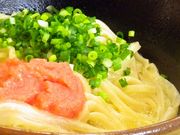 UDON 陽の写真1