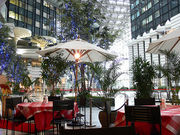 カフェ エスカロールの写真1