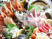 どさんこキッチン ゴリラ 千歳店の写真1