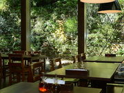 モキチ トラットリア 香川の写真1