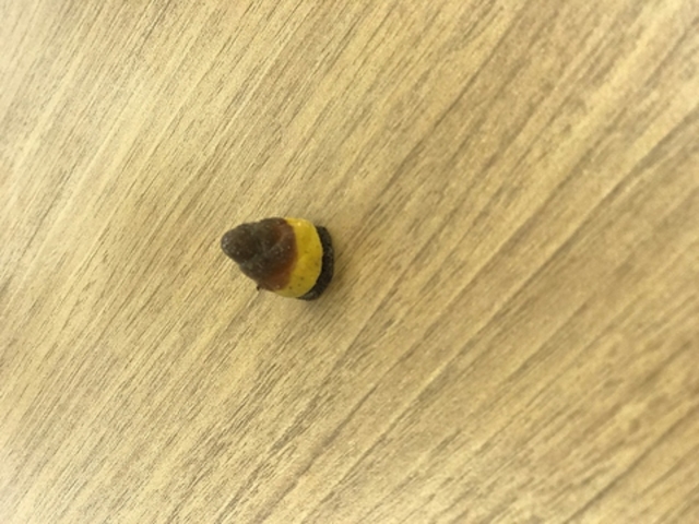 やきとり志らくの写真1