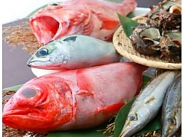 海鮮酒菜げんげJR八尾店の写真1