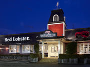 レッドロブスター 武蔵野関前店の写真1