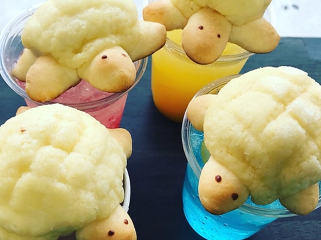 かめ乃足の写真1