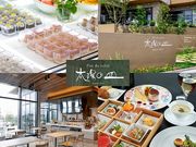 太陽の皿の写真1