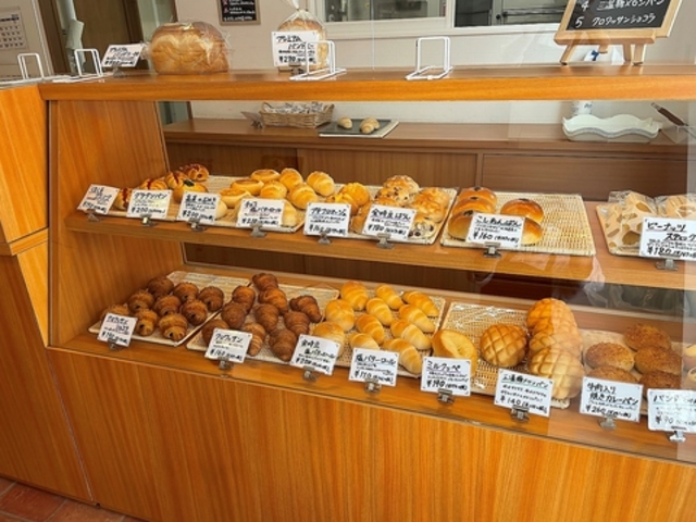 まこぱんの写真1