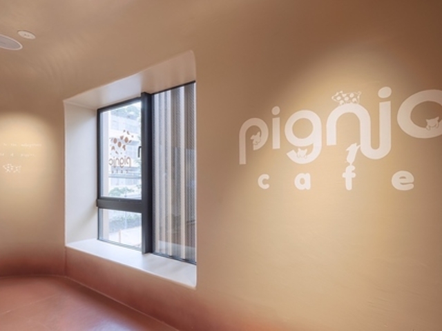 pignic cafe ピグニック カフェの写真1