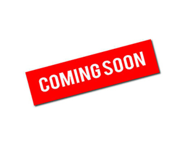 Mother マザーの写真1