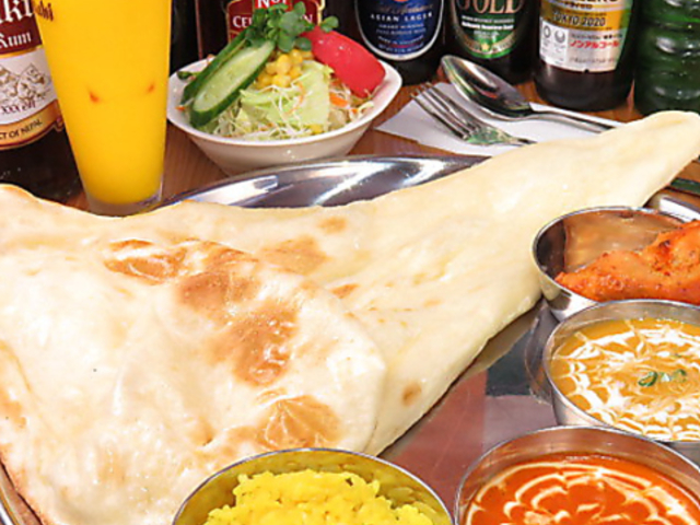 本格インド ネパール料理食堂 マウントフジ大東寺川店の写真1