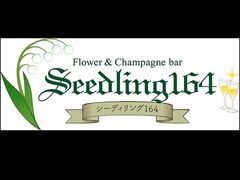 Seedling164 シーディリングイチロクヨンの写真1