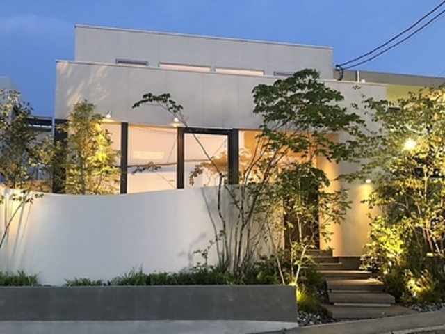 オープチデリスの写真1