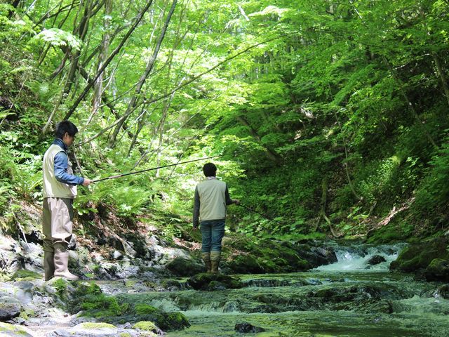 渓流釣り体験も人気メニューです!_十勝アウトドアメイツ
