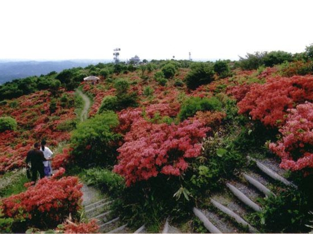 室根高原県立自然公園の写真1