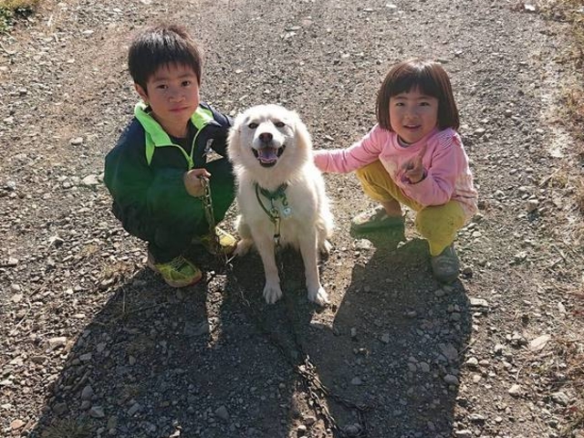 わんちゃんとお散歩_秩父ふるさと村