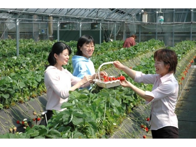 日置市伊集院都市農村交流施設「チェスト館」
