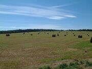 大平高原の写真1