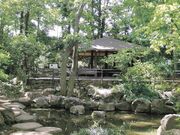 大井弁天の森の写真1