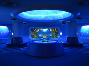 新江ノ島水族館の写真3