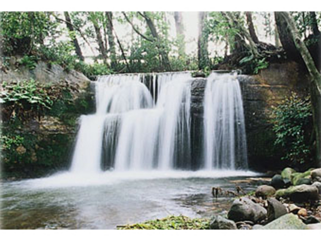 不動の滝の写真1