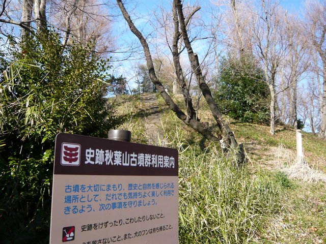 史跡秋葉山古墳群