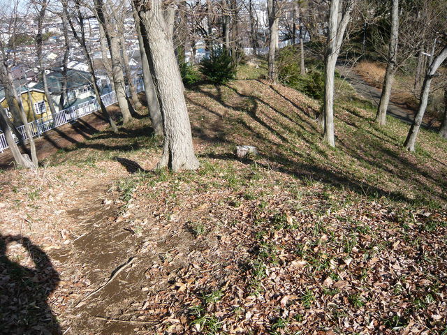 史跡秋葉山古墳群