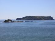 ピリカウタ広場の写真2