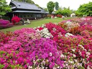 旧秋元別邸(つつじが岡第二公園)の写真1