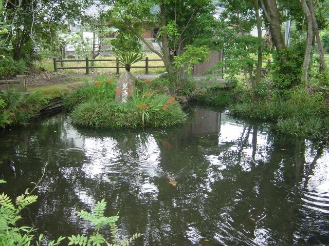 児湯の池の写真1