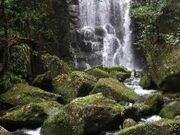 桑ノ木の滝の写真1