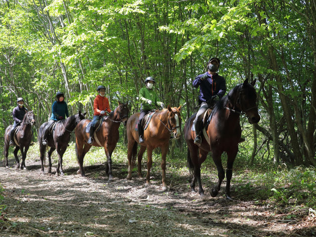 馬と森の中を歩くのは最高!_にいかっぷホロシリ乗馬クラブ