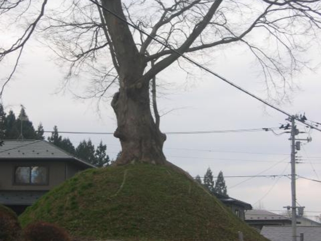 成田一里塚の写真1