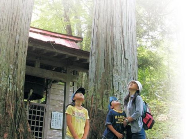 御鍋神社の写真1