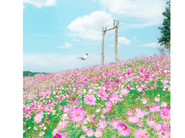 花の駅せらの写真1