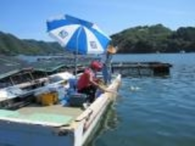 釣りいかだ矢野の写真1