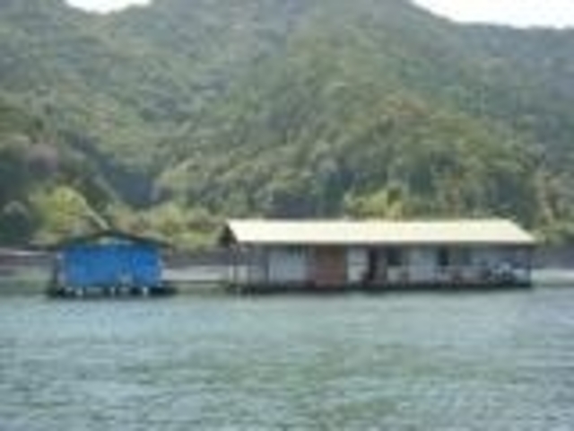 フィッシング竹村の写真1
