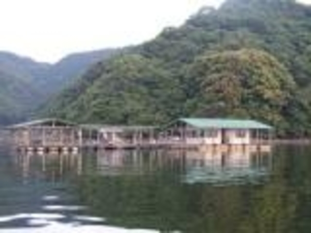 釣筏高橋の写真1