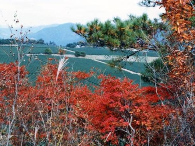 錦山公園の写真1