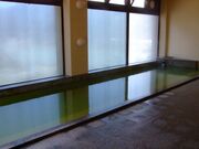 宮下温泉 桐の里倶楽部の写真1