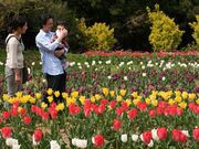 新地城跡の写真2