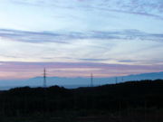 みづきブルーベリーの写真4