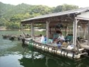 坂本釣り筏の写真3
