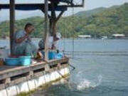 谷村釣筏の写真2